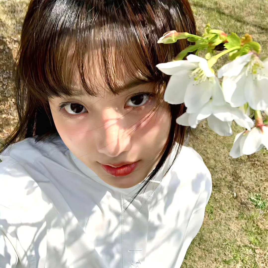 我盛大的希腊婚礼